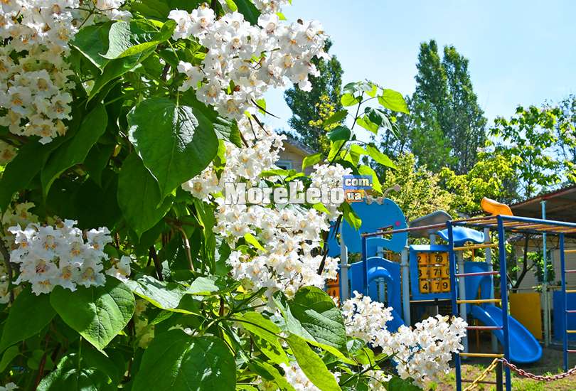 База отдыха Глория