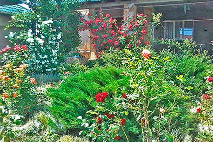 Дачный отель у моря в Санжейке