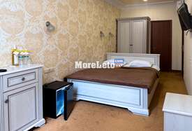 Classic  DOUBLE. Готель «VitaPark Старий Дуб»