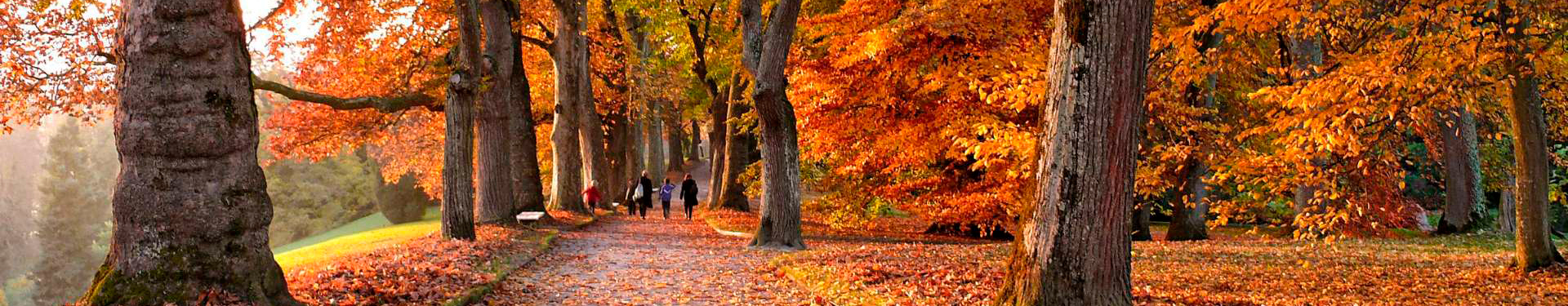 Киевская область отдых